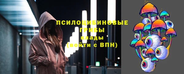 ГАЛЛЮЦИНОГЕННЫЕ ГРИБЫ Алексеевка