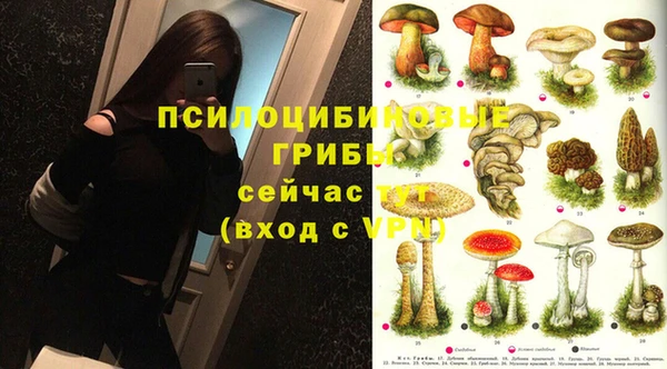 ГАЛЛЮЦИНОГЕННЫЕ ГРИБЫ Алексеевка